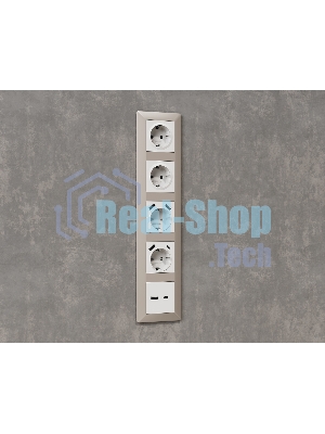 Комплект механизма электрической розетки ALFA Белый глянец 2USB A+A 18W (быстрая зарядка) с/з QUANT (AP1090, VM155) MA109010