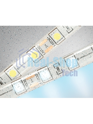 Светодиодная лента Ambrella light GS2103 5050 60Led/ 14.4W m/ 12V IP65 6500K/ 5000*10*2.87mm (2 конт.)