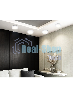 Светильник Ambrella light TN6630 WH белый IP44 GX53 D100*60