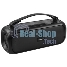Колонка беспроводная Soundmax SM-PS5031B(черный)