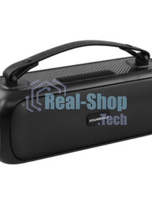 Колонка беспроводная Soundmax SM-PS5031B(черный)