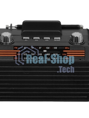 Радиоприемник SOUNDMAX SM-RD2114UB черный