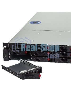 Серверный корпус ExeGate Pro EX293179RUS 2U550-HS12 (RM 19