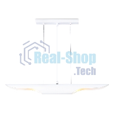 Светильник подвесной TN5155/2 WH белый E27/2 max 40W 600*60*1100