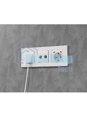 Комплект механизма электрической розетки 2USB С+C 20W с/з на винтовых зажимах 16A-250V ALFA Белый глянец QUANT (AP1105, VM165) MA110510