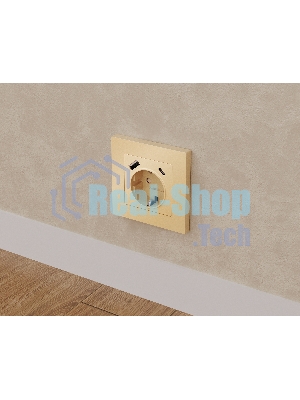 Комплект механизма электрической розетки ALFA Шампань 2USB A+C 20W (быстрая зарядка) с/з QUANT (AP6100, VM160) MA610010