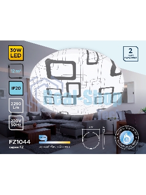 Потолочный светодиодный светильник Ambrella light FZ1044 WH/BK белый/черный 30W 6400K D370*55 (Без ПДУ)