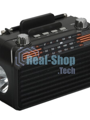 Радиоприемник SOUNDMAX SM-RD2114UB черный