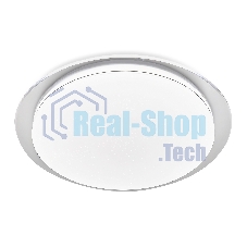 Потолочный светодиодный светильник Ambrella light FZ1047 WH белый 30W 4200K D450*55 (Без ПДУ)