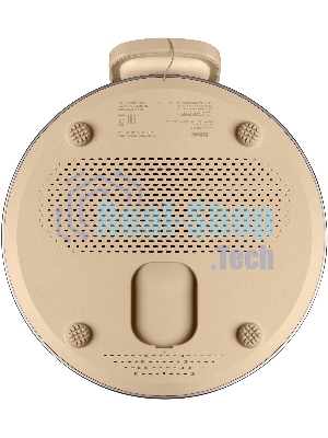 Портативная колонка BBK BTA1110 золотистый 10W 2.0 BT 10м 1800mAh