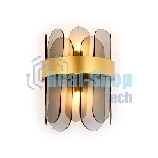Светильник Ambrella light TR5348/2 GD/SM золото/дымчатый G9/2 max 40W 270*200*140
