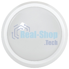 Светильник IEK LED ДПО 5051 18Вт 6500К IP65 круг белый
