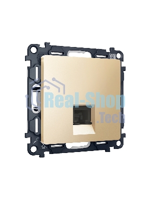 Комплект механизма компьютерной розетки ALFA Шампань RJ-45(8P8C) CAT6 с шторкой QUANT (AP6120, VM188) MA612010