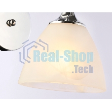Светильник Ambrella light TR3045 CH/FR хром/белый матовый E27 max 40W 215*135*225