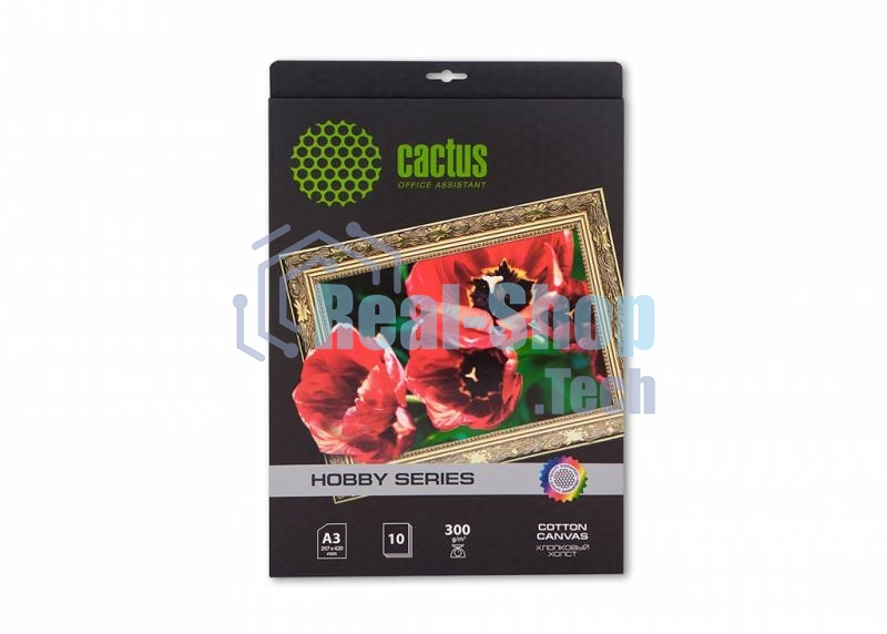 Холст Cactus CS-СA326010 A3/10л. для струйной печати