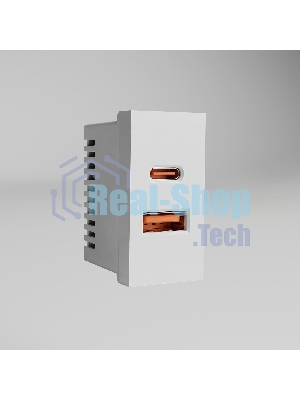 Модульная розетка USB тип A+C 45*22,5 (белый) W1272701