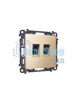 Комплект механизма компьютерной двойной розетки RJ-45 (8P8C) CAT6 с автоматической защитной шторкой ALFA Шампань QUANT (AP6121, VM189) MA612110
