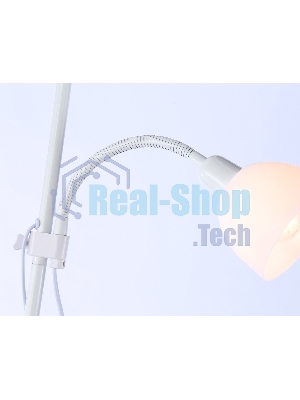 Светильник Ambrella light TR97622/2 WH белый E27+E14 max 40W D245/100*1770