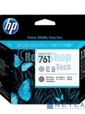 Картридж струйный HP 761 CH647A темно-серый/серый печатающая головка для HP DJ T7100