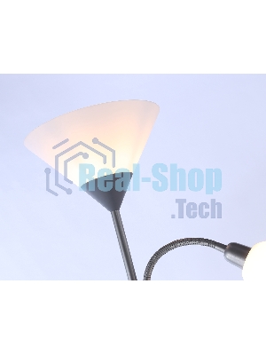 Светильник Ambrella light TR97626/2 SL серебро E27+E14 max 40W D245/100*1770