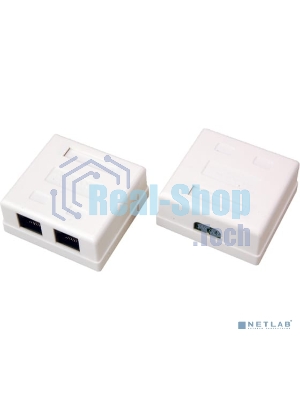 Розетка Rexant сетевая LAN, на стену, (2 гнездо 8Р8С (Rj-45), 5e кат)