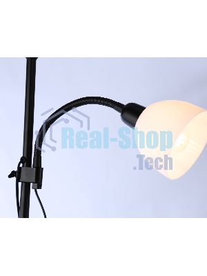 Светильник Ambrella light TR97629/2 BK черный E27+E14 max 40W D245/100*1770