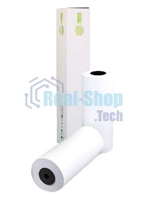 Бумага Cactus Eco CS-LFP80-420457E A2 420мм-45.7м/80г/м2/белый CIE155% (упак.:2рул)