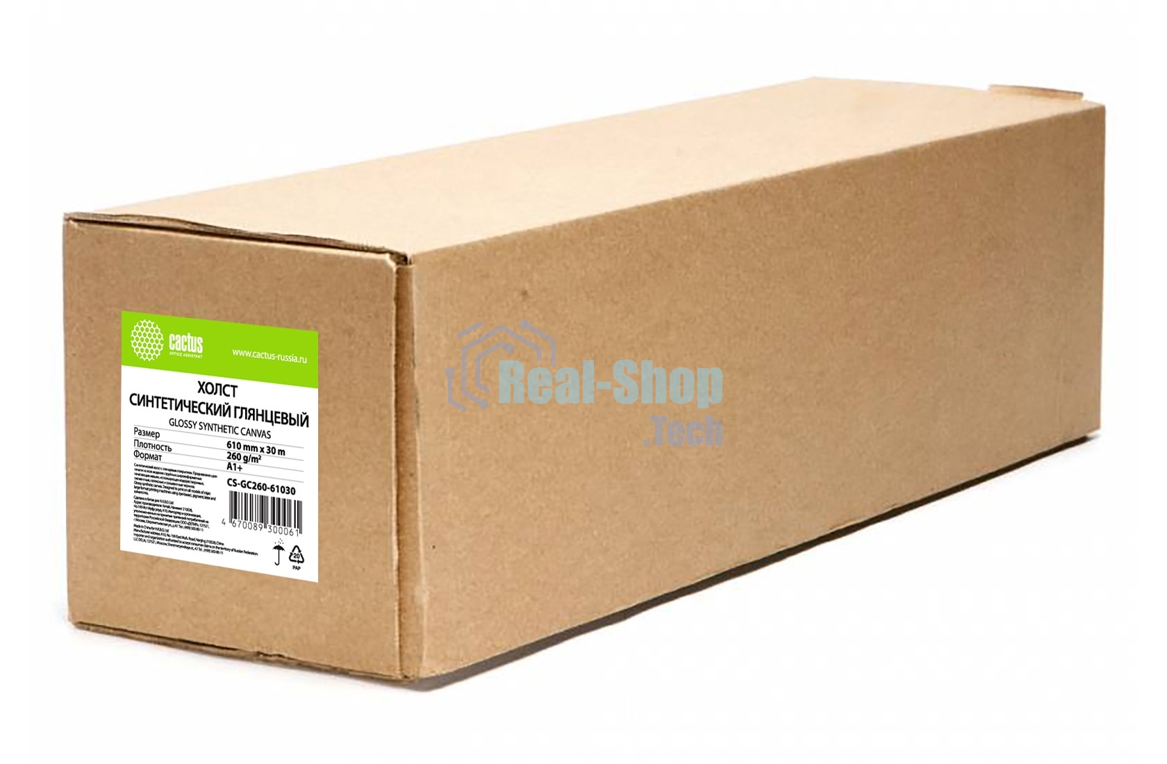 Холст Cactus CS-GC260-61030 24