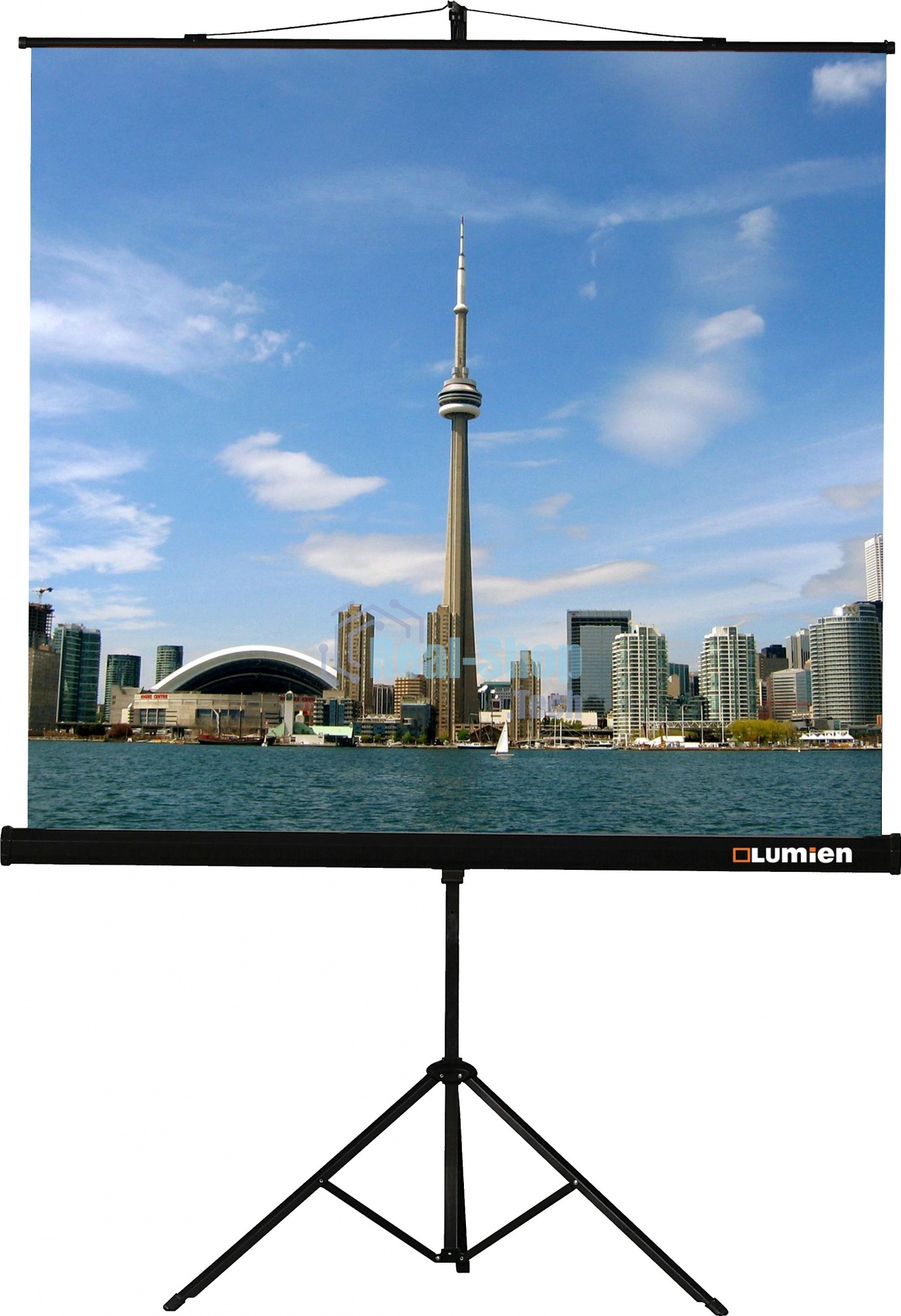 Экран на штативе Lumien Eco View 220x220 см (раб.область 214х214 см) Matte White с возможностью настенного крепления 1:1