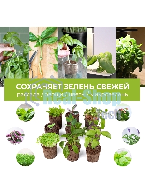 Набор питательных губок Cactus CS-SPONGE-10 для проращивания для CS-LEDPOT-06/08/10 (упак.:10шт) пакет