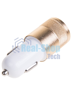 Автозарядка в прикуриватель Rexant 2хUSB (АЗУ) (1000+2100 mA)