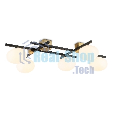 Светильник Ambrella light LH51015/5 BK/BS/FR черный/латунь/белый матовый G9*5 max 28W 800*560*170