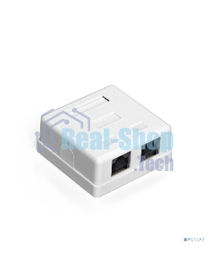 Розетка компьютерная двойная ExeGate SM2-RJ45-C5 RJ-45 кат.5/5E UTP Krone/110