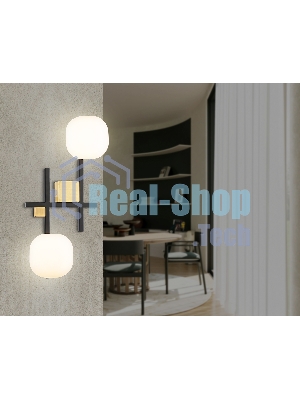 Настенный светильник Ambrella light LH51019/2 BK/BS/FR черный/латунь/белый матовый G9*2 max 28W 230*170*480