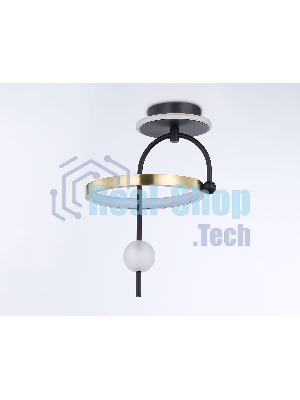 Светильник Ambrella light FL66424 BK/GD черный/золото 3000K/4200K/6400K 15W 240*220*347.7 (Без ПДУ)