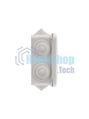 Коробка распаячная Rexant ОУ, 100x100x50, винт IP44