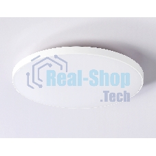 Потолочный светодиодный светильник Ambrella light FZ1221 WH белый IP44 18W 4200K D302*50 (Без ПДУ)