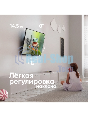 Кронштейн для телевизора ONKRON TM5-BW черный/белый 32