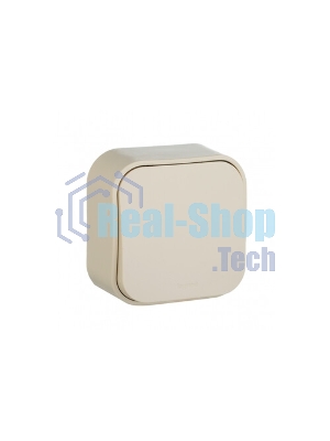 Выключатель 10A 1-клав., сл. кость Quteo