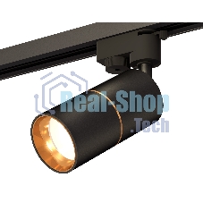 Светильник Ambrella light XT6302020 SBK/PYG черный песок/золото желтое полированное MR16 GU5.3