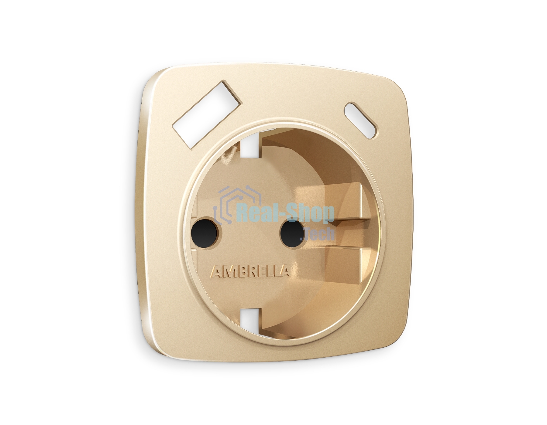 Лицевая панель OMEGA (Шампань) для электрической розетки с/з со шторками 2USB A+C QUANT OP6100