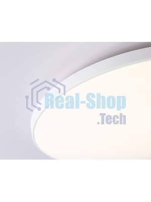 Потолочный светодиодный светильник Ambrella light FZ1222 WH белый IP44 24W 4200K D372*55 (Без ПДУ)