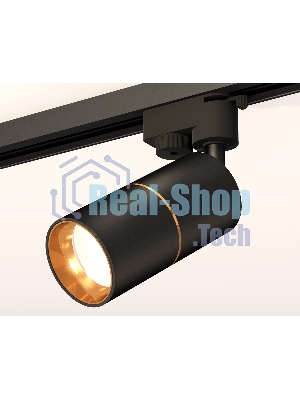 Светильник Ambrella light XT6302020 SBK/PYG черный песок/золото желтое полированное MR16 GU5.3