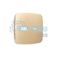 Лицевая панель OMEGA (Шампань) для розетки 2USB тип A+C QUANT OP6110