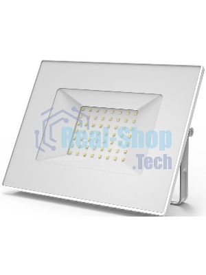 Прожектор светодиодный Gauss Elementary 50W 3510lm IP65 6500К белый