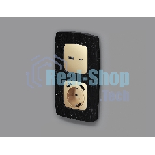 Лицевая панель OMEGA (Шампань) для розетки 2USB тип A+C QUANT OP6110