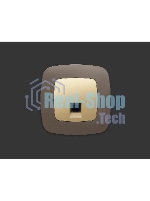 Лицевая панель OMEGA (Шампань) для компьютерной/телефонной розетки RJ-45/RJ-11 QUANT OP6120