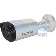 Камера видеонаблюдения Falcon Eye FE-MHD-BV5-45 2.8-12мм цветная