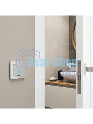Рамка на 1 пост Platinum (алюминий) W0012606