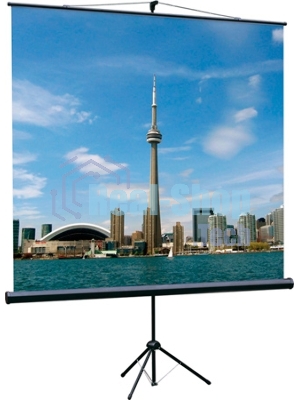 Экран на треноге Lumien 200x200 см Eco View LEV-100103 1:1 напольный рулонный